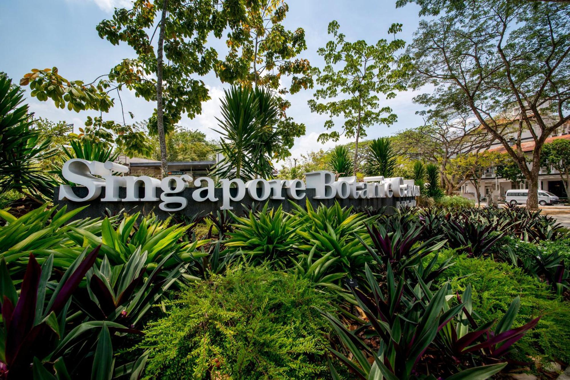 Voco Orchard Singapore By Ihg Экстерьер фото Singapore Botanic Gardens